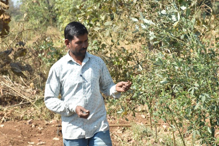 માંગરોળ ગામનો ખેડૂત પ્રાકૃતિક ખેતી થકી આર્થિક રીતે પગભર બન્યો.